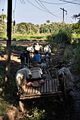 Myanmar - Inwa, ox driven cart